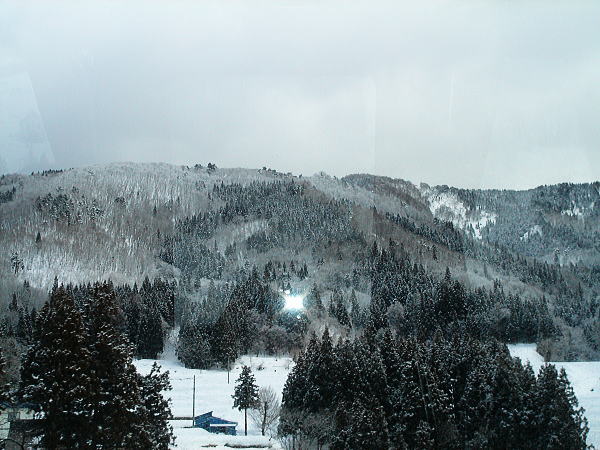 114.jpg