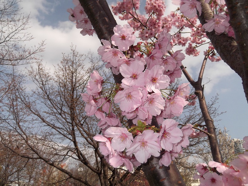DSCF1327.jpg