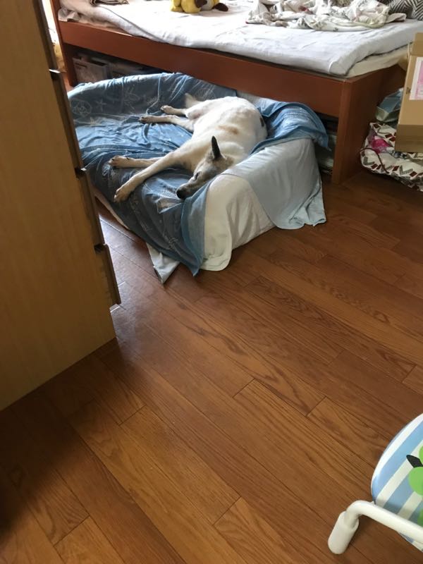 rblog-20180806234337-02.jpg