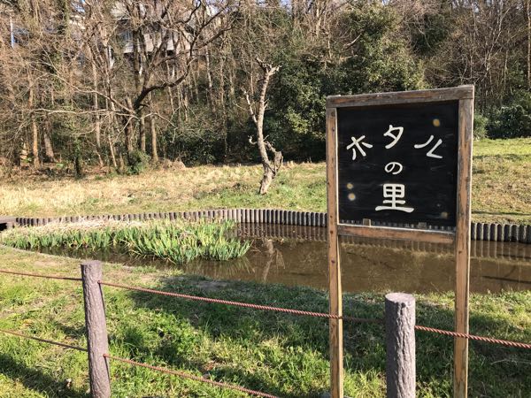 rblog-20190320170809-01.jpg