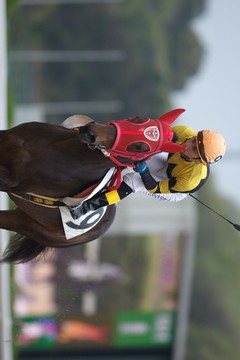 返し馬