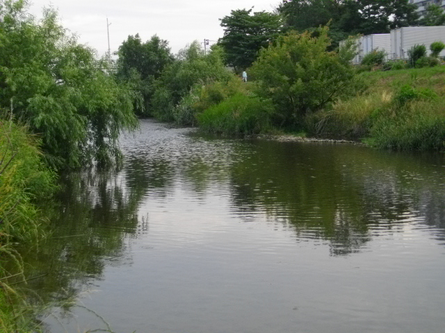 黒目川　＆　スーパーセール商品 008.JPG