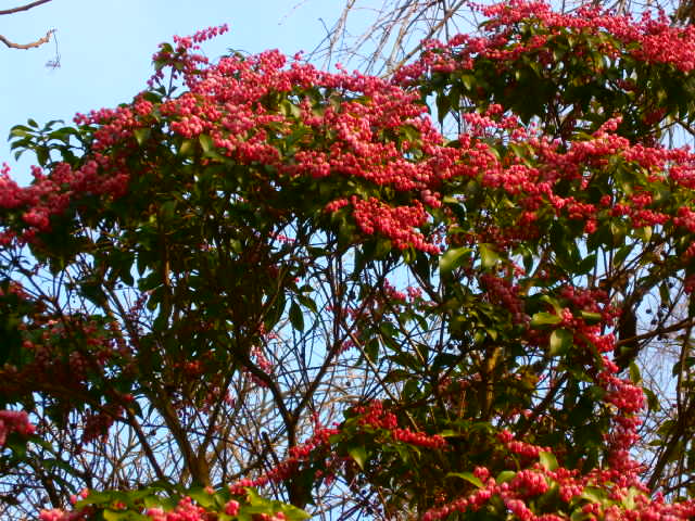 P2230361.JPG