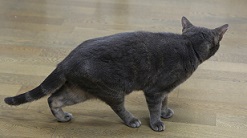 5DA_6889-3.jpg