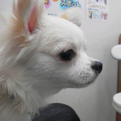 2014-10-12 15:06:10