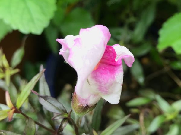 rblog-20180624175900-05.jpg