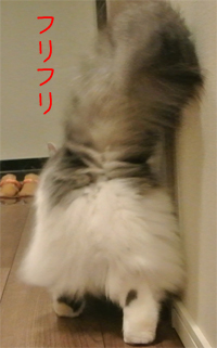 mumu10.jpg