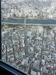 DSCN0828.JPG