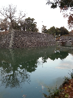 rblog-20131210185327-01.png