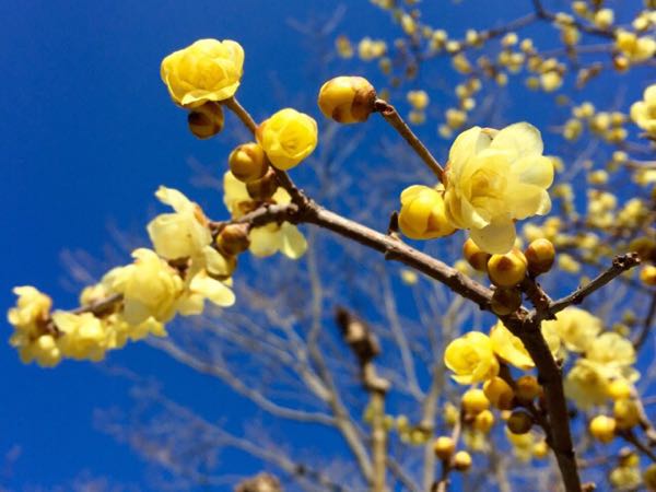 rblog-20160125161519-01.jpg