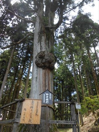 身延山　久遠寺