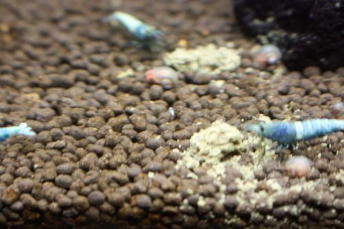 2015072402.JPG