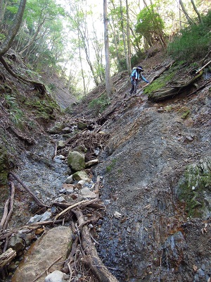 DSCN6223s.jpg