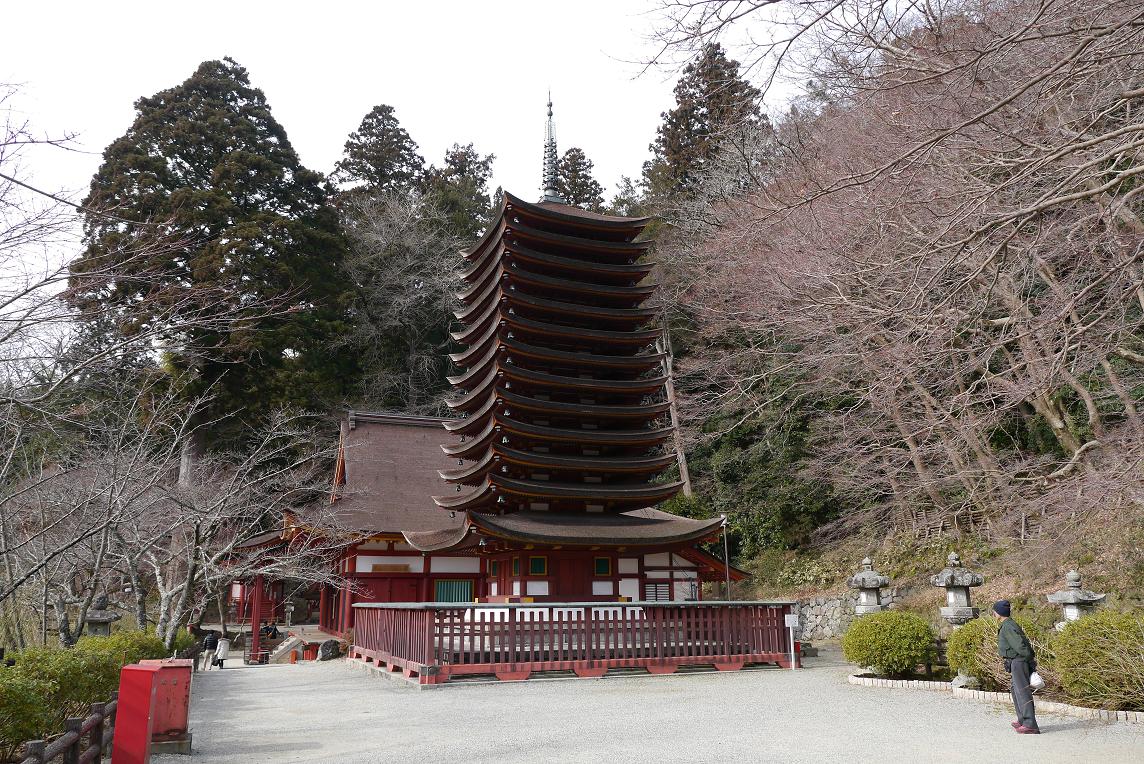 P1010854.JPG