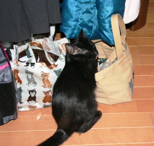 20150221ｸﾘ03.jpg