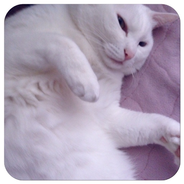 rblog-20130424185335-03.jpg