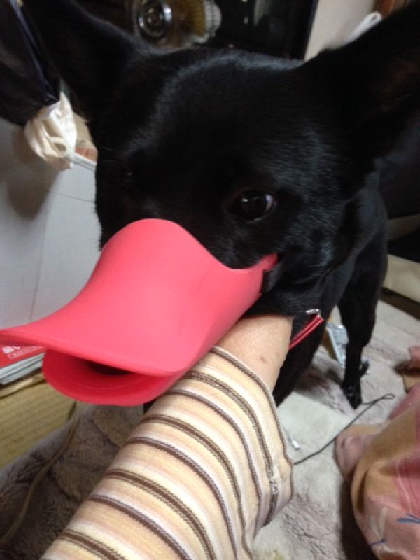 rblog-20141102134527-01.jpg