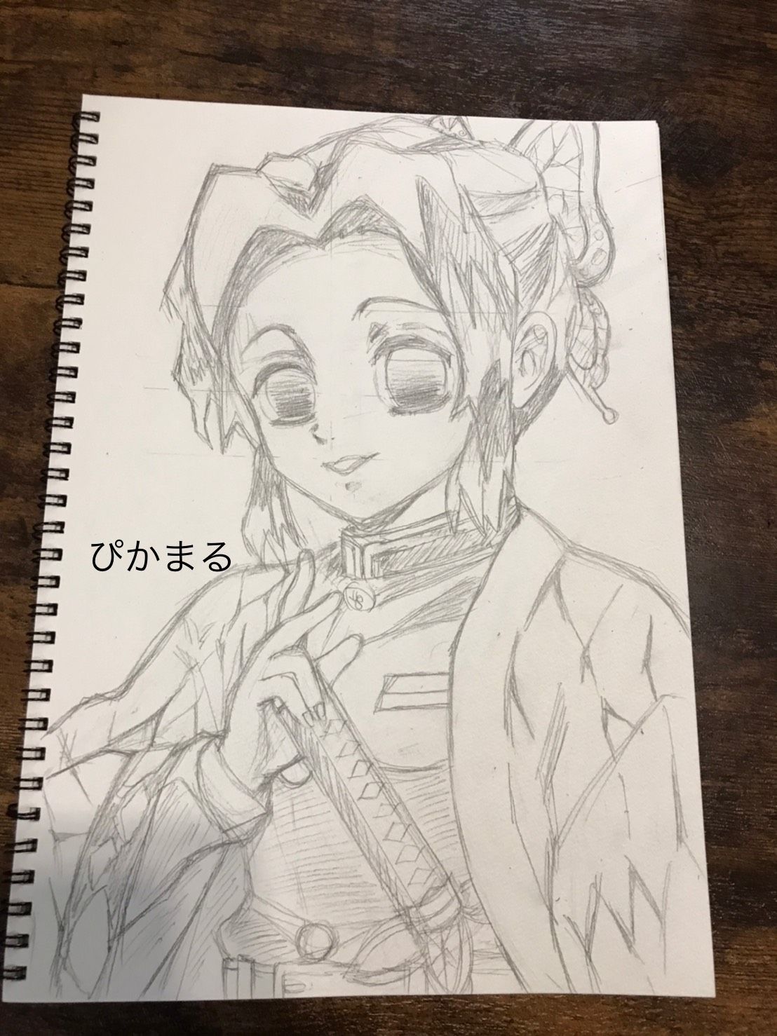 イラスト練習 お絵かき始めました 鬼滅の刃より胡蝶しのぶさん ぴかまるの気まぐれブログ 楽天ブログ