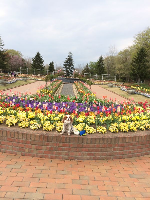 rblog-20140419231134-02.jpg