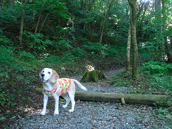 20130928箱根やすらぎの森