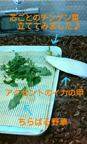rblog-20151013200946-02.jpg