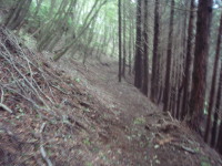 20120624_84.jpg