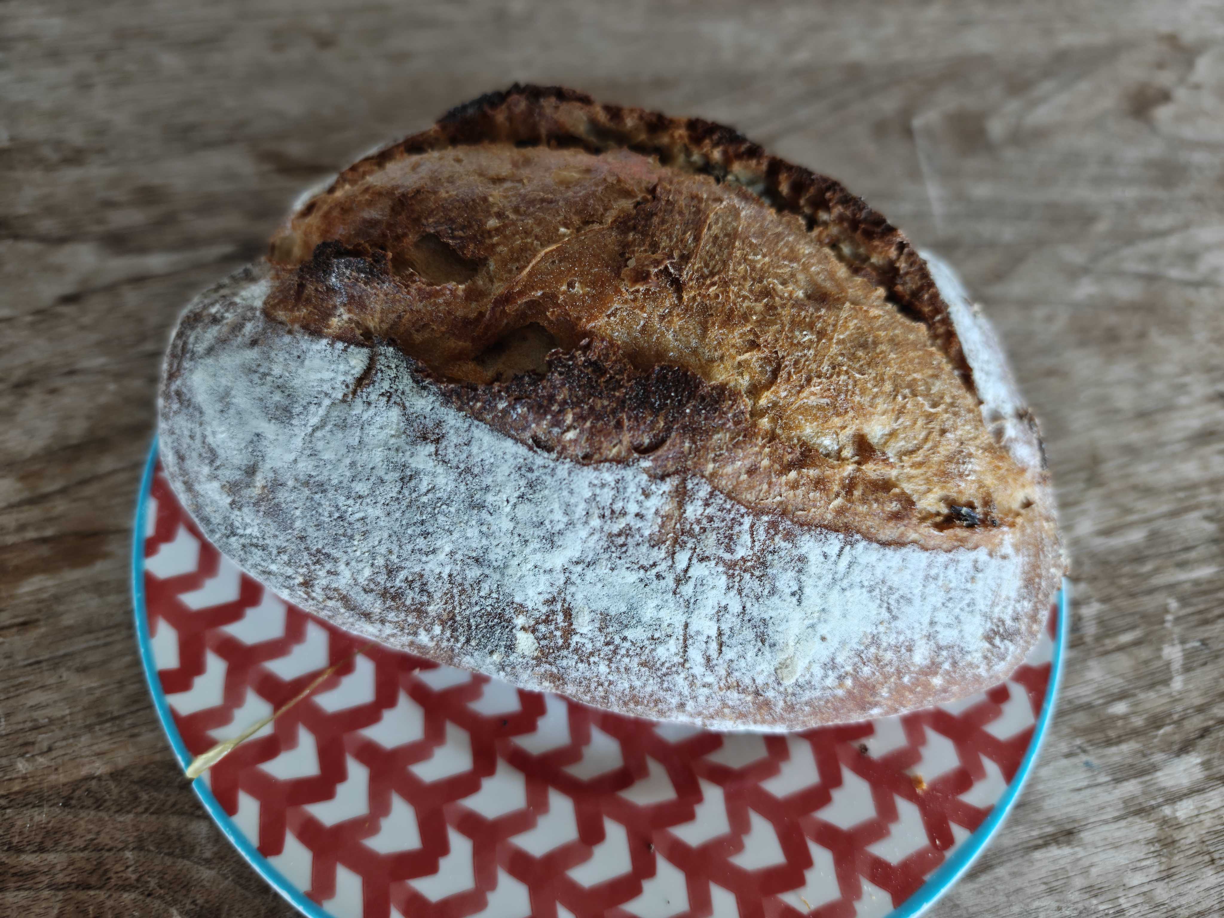 高知商業前駅パン屋　ウルスベーカリー　さちほのかのカンパーニュ