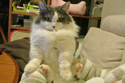 mumu2.jpg