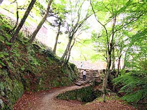 IMG_2501.jpg