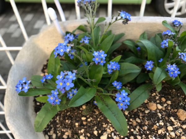 rblog-20180325184505-08.jpg