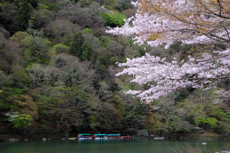 大堰川と嵐山_004.jpg