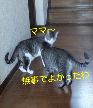 20121006_8.jpg
