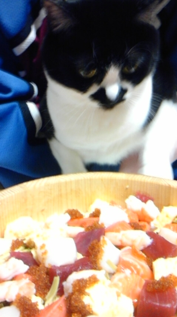 六回目？ようやるわ、母ちゃん