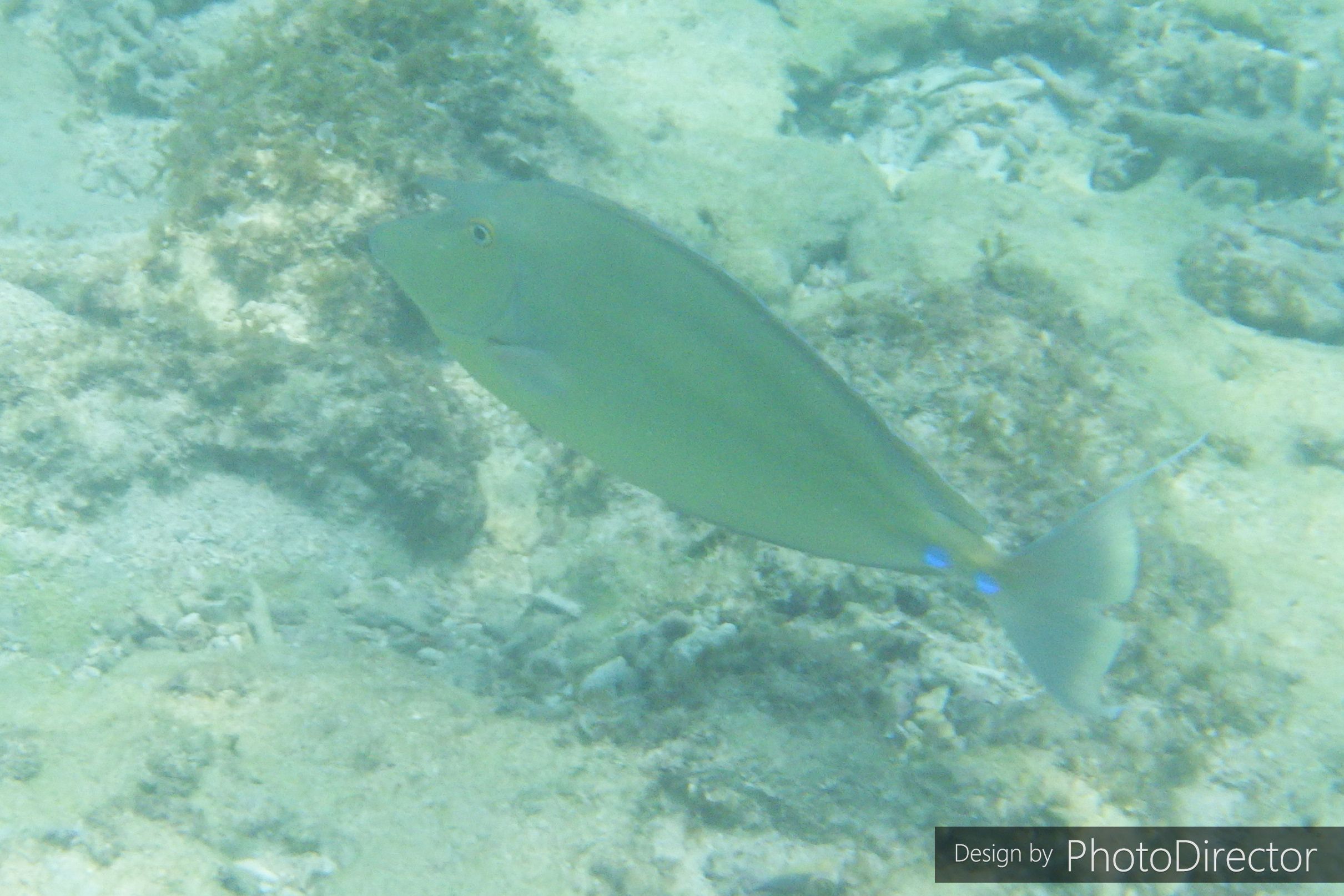 5ページ目の記事一覧 ねこログ 楽天ブログ