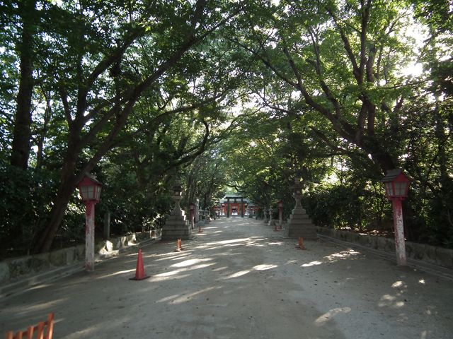DSCF1674.JPG