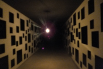 DSCF8312.jpg
