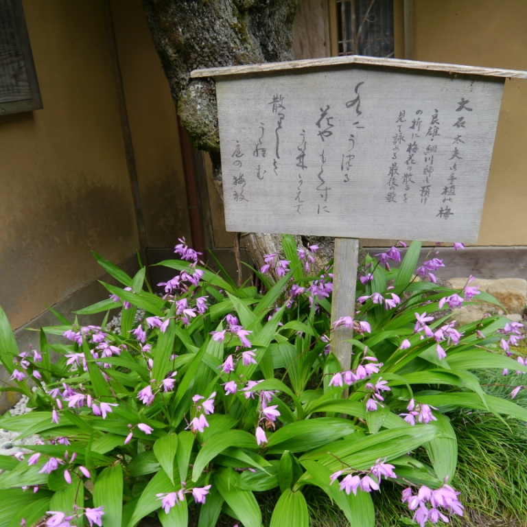 P1070438.JPG