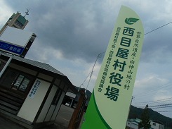 CIMG3942.jpg