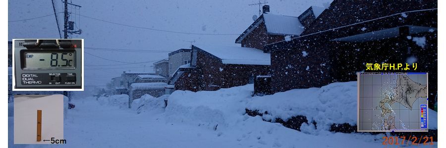 ２／２１雪.jpg