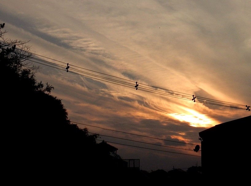 夕暮れ5.JPG