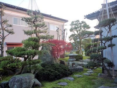 雪囲い.JPG