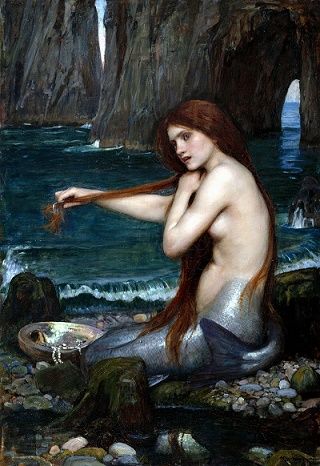 水仙 ナルキッソス カラヴァッジョ さきの小さな大発見 楽天ブログ