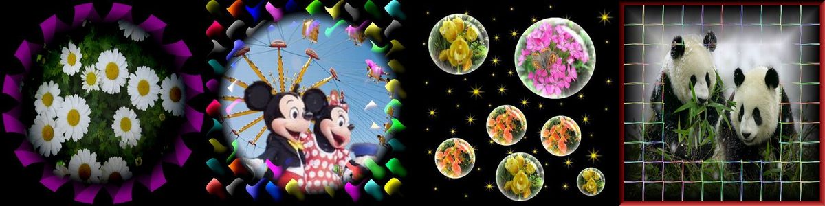 4枚の写真1200×300 No２.jpg