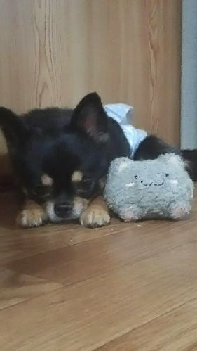 rblog-20171112141003-05.jpg