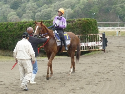 P1050041 (400x300).jpg