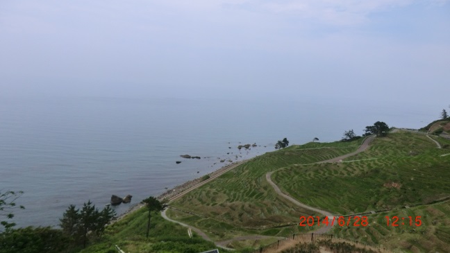 CIMG0230.JPG