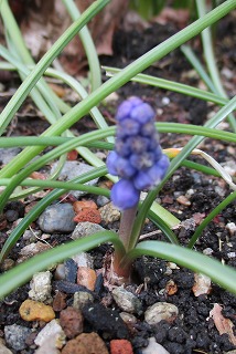 IMG_9487ss.jpg