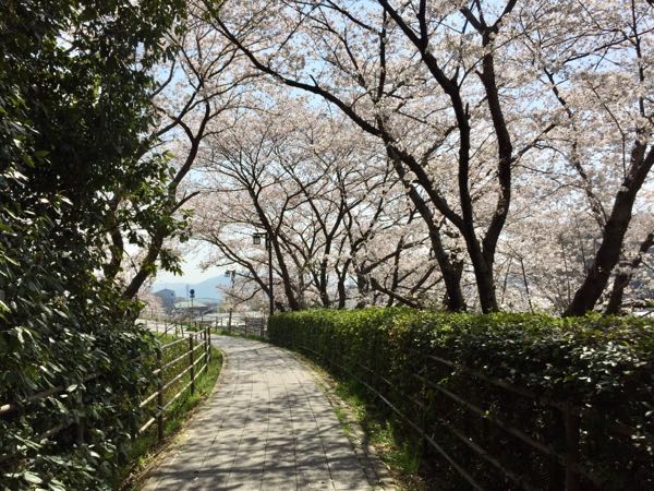 rblog-20180329055248-05.jpg