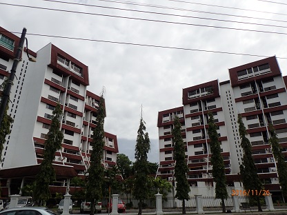 PB260131.JPG