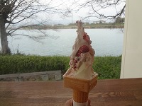DSC02137.jpg